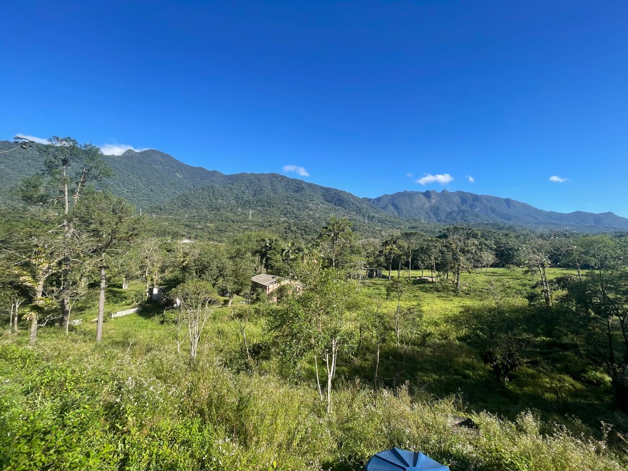 Vale verdejante com montanhas