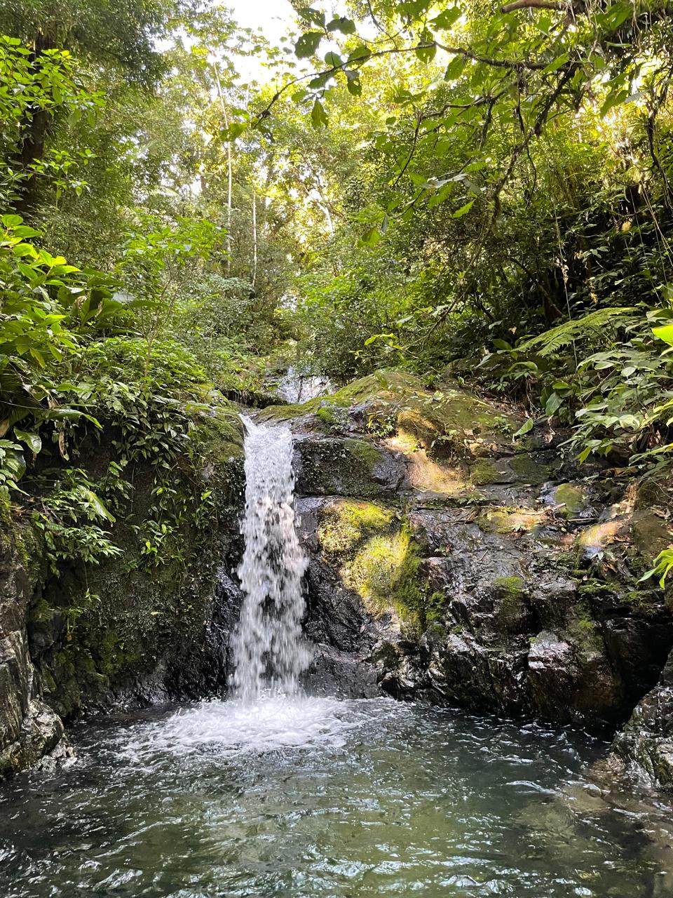 Cachoeira privada cercada por floresta tropical